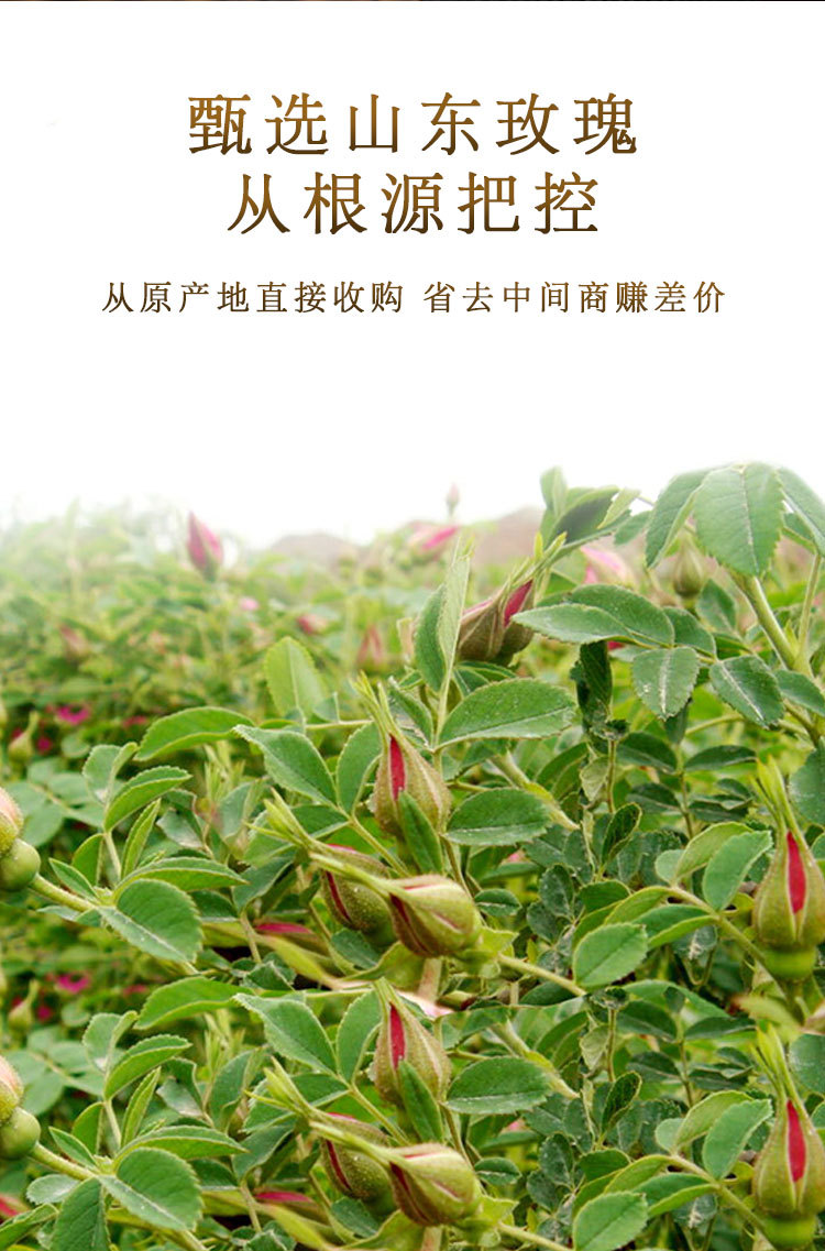 详情_05.jpg