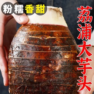 �V���������r�����^10������С���^��Ş�����ڙ�����F��ë���^5