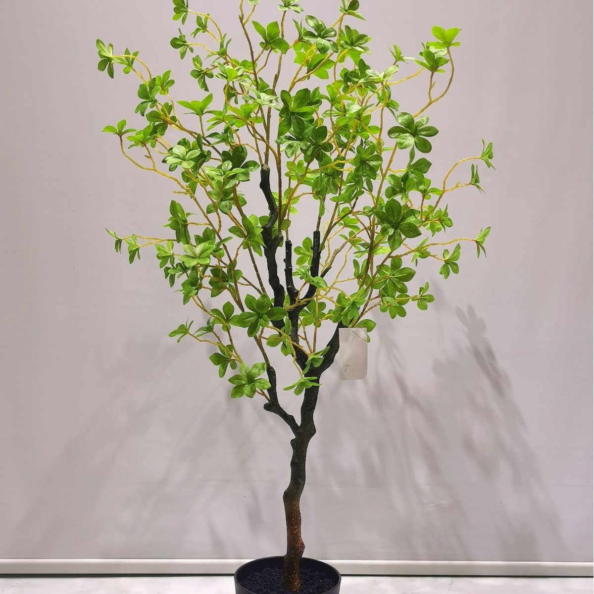 优惠定制仿真绿植仿真花龟背树橡树铁树旅人蕉琴叶榕凤尾竹凤尾葵