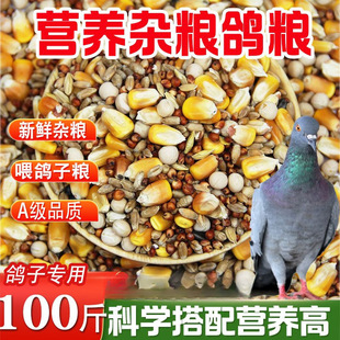 ���ӼZ��I�B�������㶹������������������������Z���l