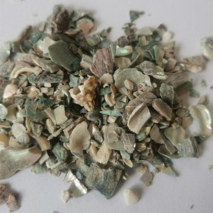 ���l ʯ�Q�� ɢ�b�Q��