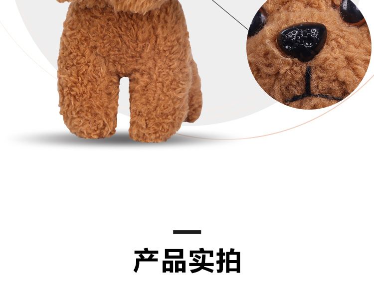小狗_10.jpg