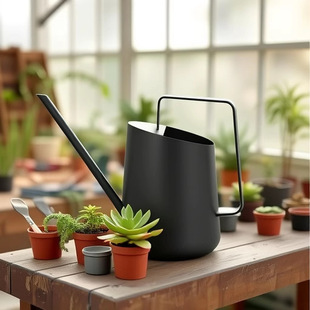 Amazon 304 Stainless Steel Watering Can for Gardening, Household Watering Can, Spray Can, Wholesale with Patented Design
