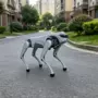 智能安防小区巡检机器狗