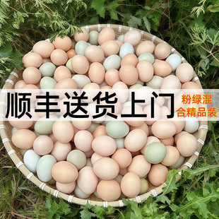 ��S���]���u�����r�ЋD���ӵ����u�������r��ɽ��ɢ�B�G�����u��