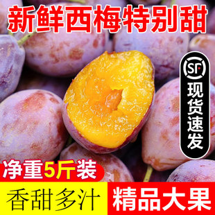 �F؛�½����m����÷���rˮ��5��������Ӵ�����������ЋDÓ�Ǵ�3