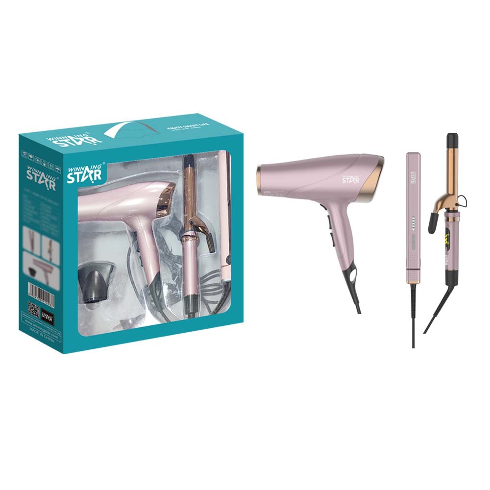 Winning Star comercio exterior hogar viento frío y caliente seco cabello liso cabello rizado juego de secador de pelo Hair Dryer