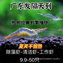 �����r�t���r�����r�^�p�r�����r��ˮ�坍�r�׌����r���r