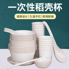 加厚酒店餐厅家用碗筷盘碟勺杯组合套装可降解稻壳一次性餐具批发