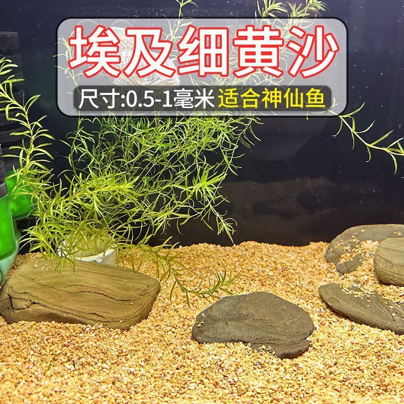 Native cylinder: Egyptian fine yellow sand [0.5-1mm]]