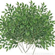 �������~�� ���R�d���~ ����ɳ���~�Gֲ �羳���� ���Sֱ�u