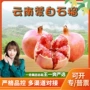 云南蒙自代发大果水果