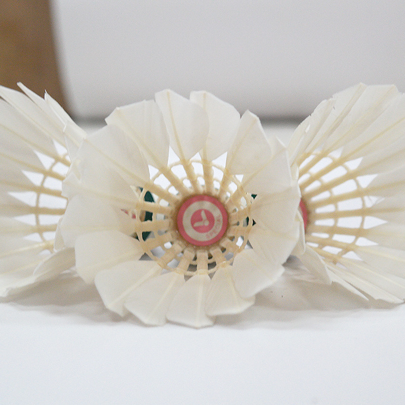 빅터 위도 배드민턴 승리 골든 3 | 5 | 1 파우더 승리 나이 토너먼트 3 | 8 마스터 6 | 7