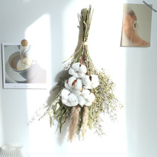 �߼��ɻ������ȼ����r��õ���JȔins���W�Ҿ��b[�����յ���DIY