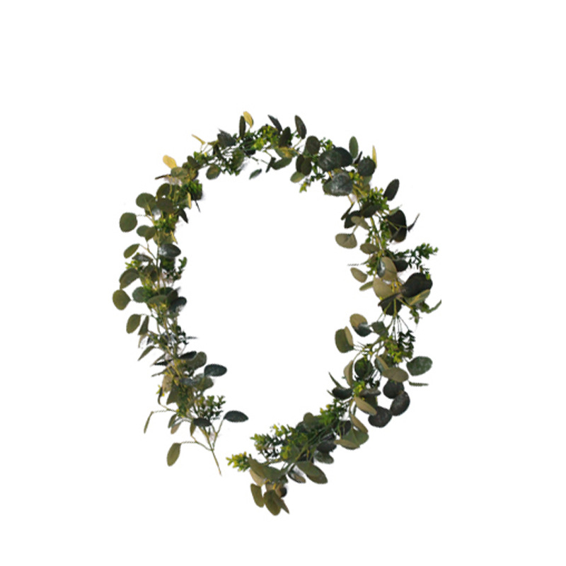 藤条1号 448叶 112花 24 (2).jpg