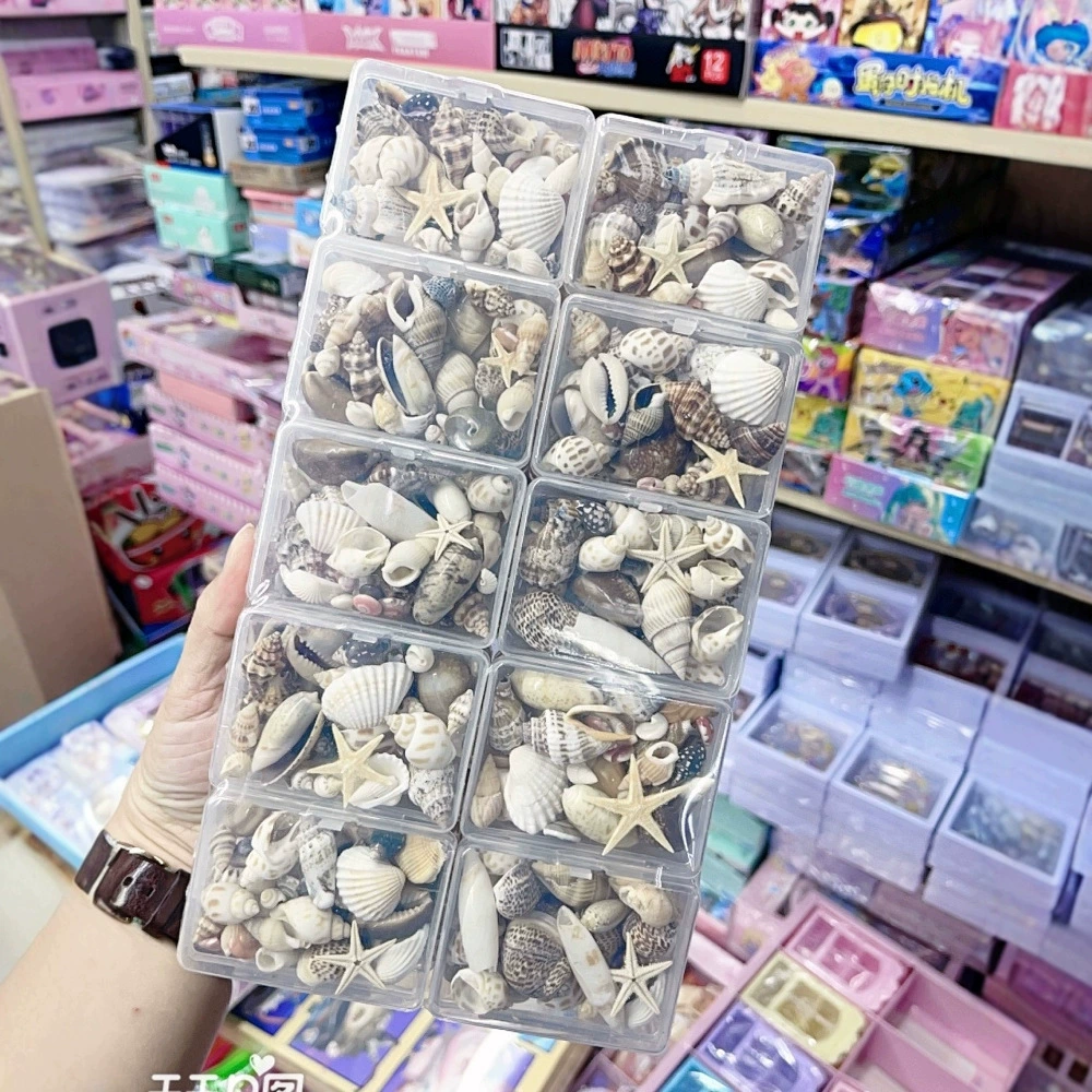 Креативная ручная работа декоративные натуральные аксессуары морской морской звезды раковины раковины раковины