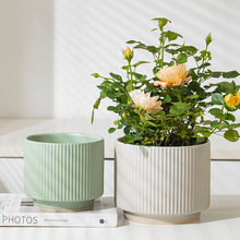 sGֲСմɎбP̖lؔ仢Ƥm