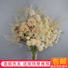 �㙉ɫϵ��c����Y�þƵ��픻�·�����żٻ��b�����