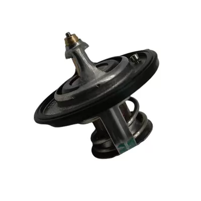 Thermostat for Hyundai Kia