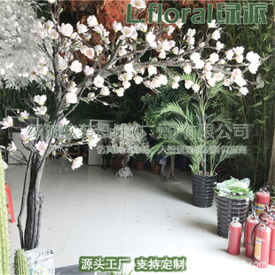 ��c�������m������ѻ����̈���Y�b���ٙѻ����һ����b�