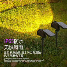 �羳�Y�|̫����՘�����Ͷ�����ˮ�ز��ƺ�����@�������⾰�^