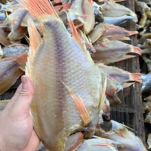 �t�D�~�ɔ[�ؔ�չ���t�~��ȥ�^ȥ�ȼt�D�~�ɼt�D�~���r��؛���a