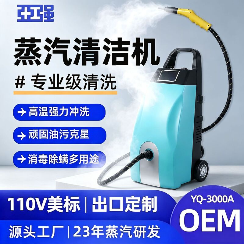 Instant Hot High-Temperature High-Pressure Steam Cleaning Machine, Commercial Air Conditioner and Range Hood Multifunctional Professional Cleaning Equipment 110V