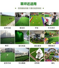 假草坪草皮仿真人造人工地毯塑料綠草地毯幼兒園陽台戶外裝飾圍榕