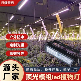 植物生长灯;定时器插座;支架