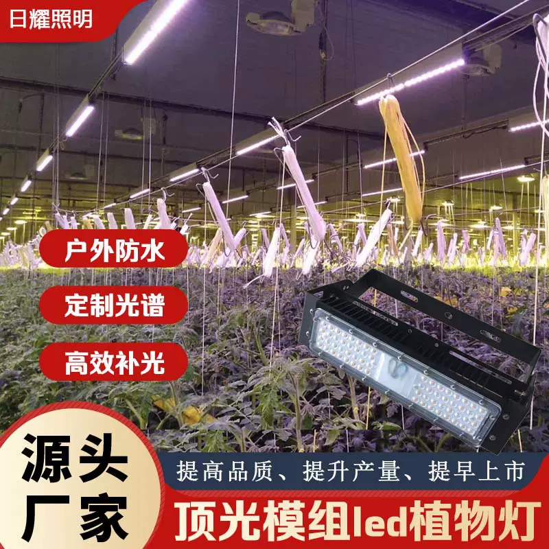 日耀植物补光灯户外防水大棚植物灯全光谱LED植物生长灯仿太阳光