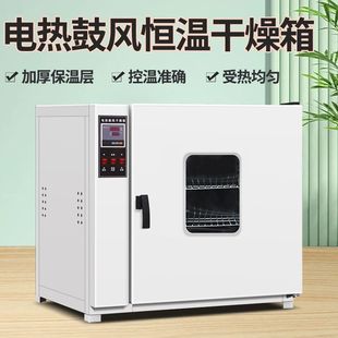 電熱恆溫鼓風干燥箱烘箱加熱烤箱工業101試實驗室高溫小型烘干機
