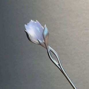 �������ʽ���m���l��2026�¿���L��������߼����|�l������Ů