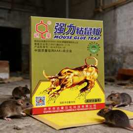 达豪A1#老鼠贴强力粘鼠板超强粘力老鼠板抓大老鼠捕鼠神器家用张