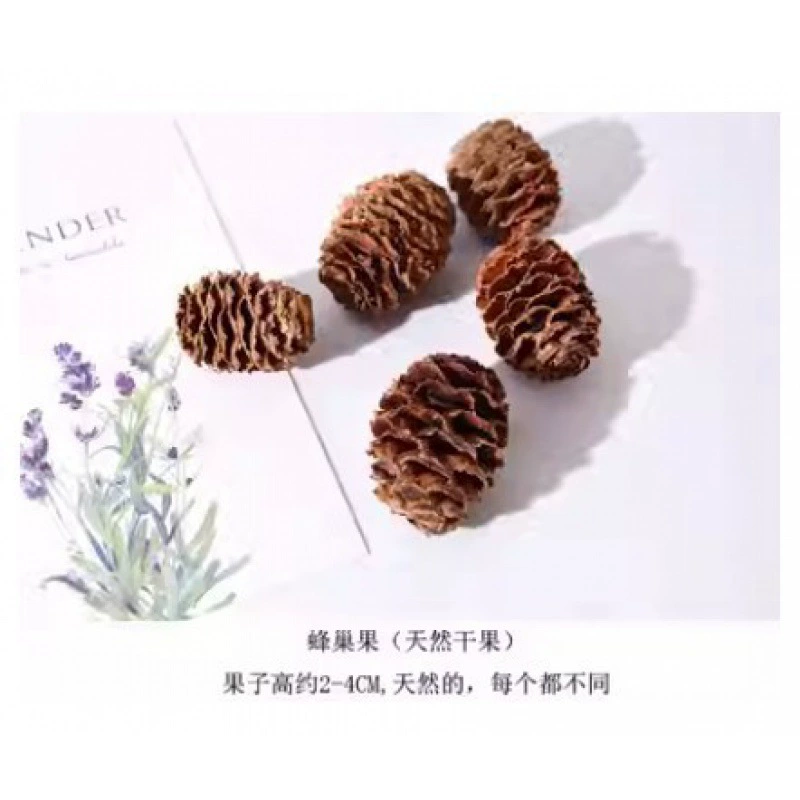 Organic sample, photo frame handmade, Christmas materials set, DIY