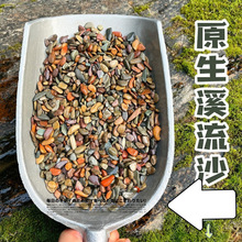 原生缸溪流沙鱼缸造景装饰铺底彩色底砂石乌龟古法缸鳑鲏虾虎河沙
