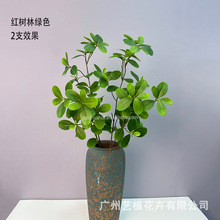 ������~��֧���m�~�t���ֲ��~��c�������b��~�ӾGֲ�m������
