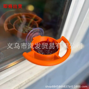 ����վ Bird Feeder Window Suction Cup Holder�������Pʽιʳ��