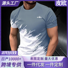 2026���¿�羳��ͷ�ļ���ʿ����ʱ�м�Լ���������T����ʿ��