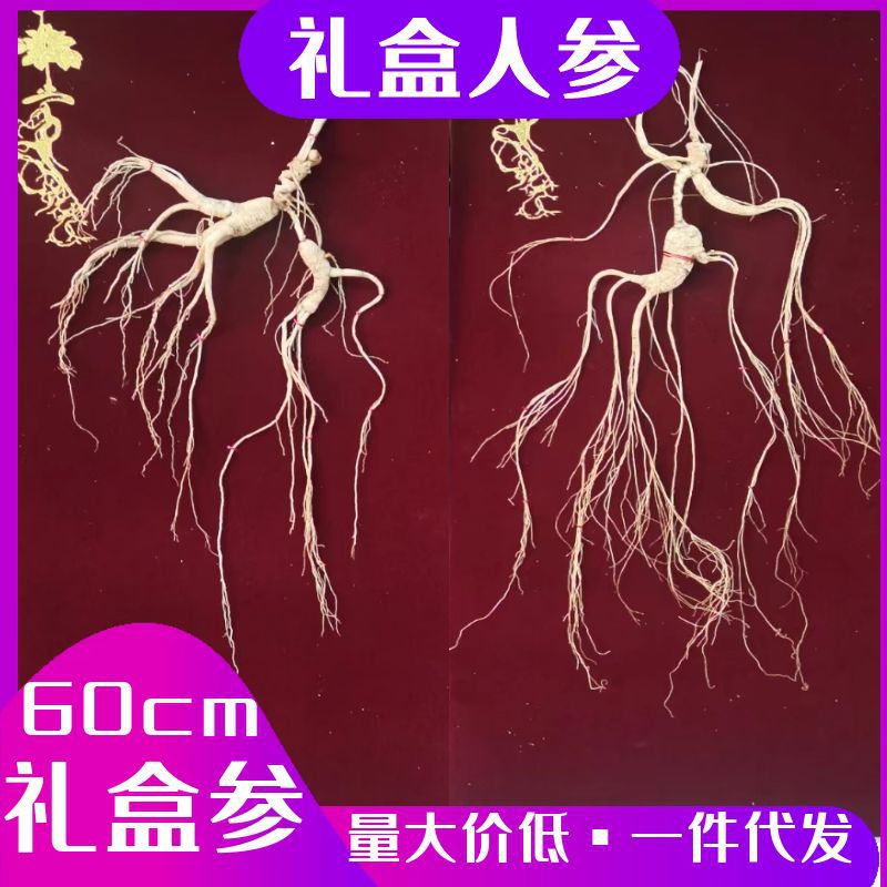 人参礼盒东北特产林下参长白山白参野山参礼盒会销礼品批发伴手礼