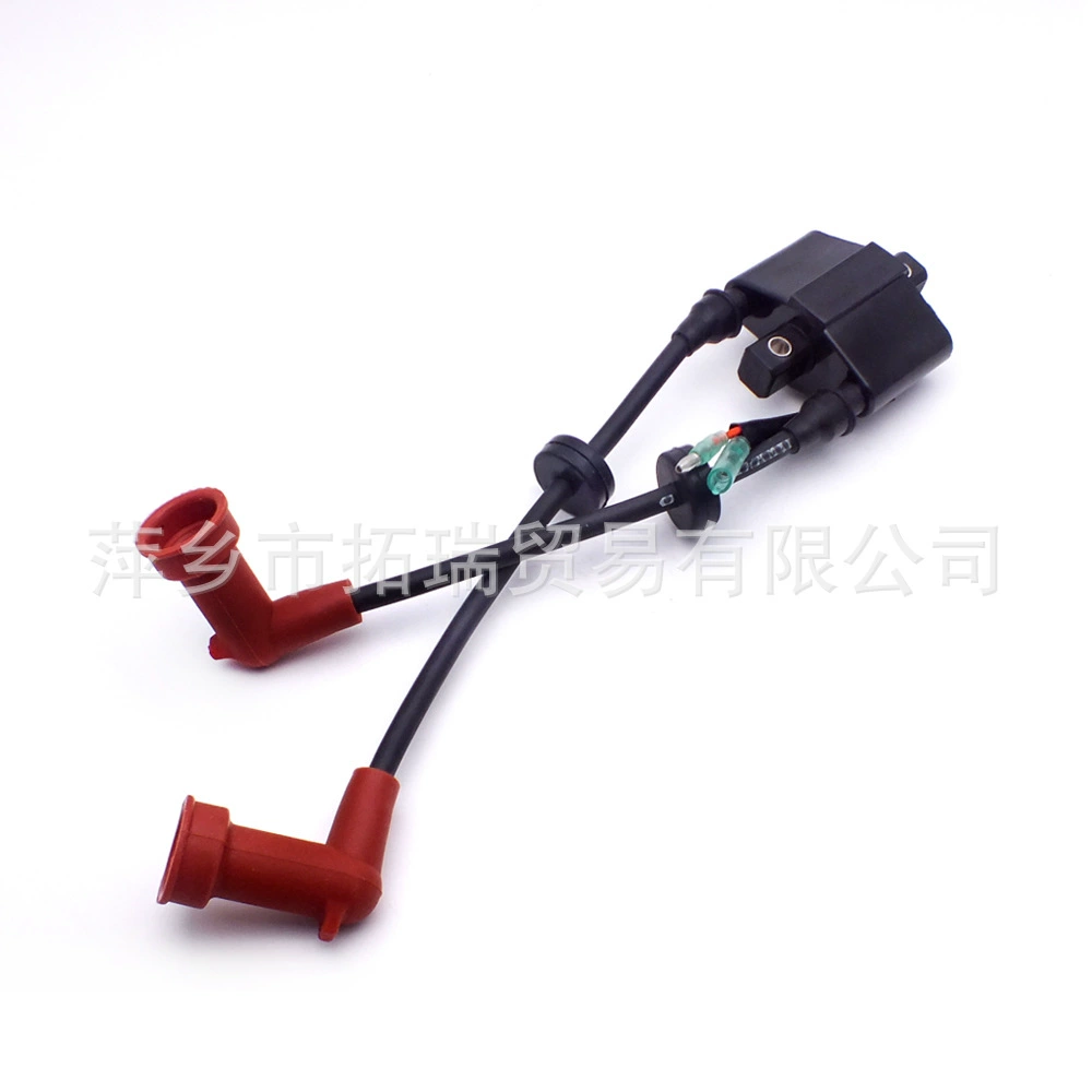 6F5-85570 для 40 лошадиных сил Yamaha лодочный мотор катушки зажигания в сборке старого 6F6