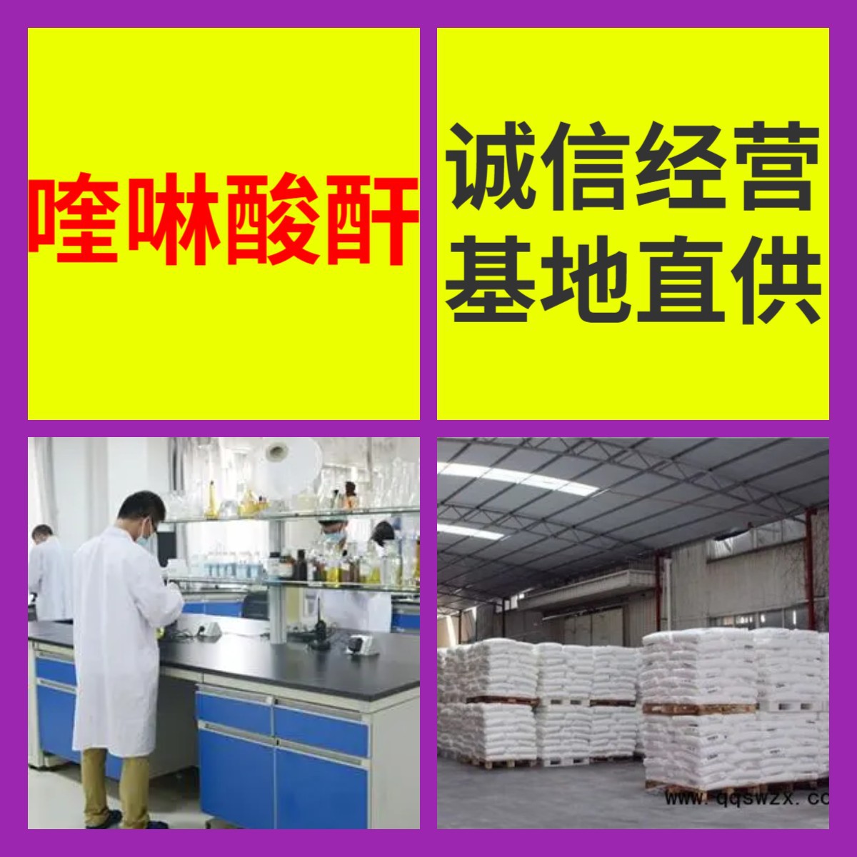 喹啉酸酐 品种齐全质量保证回复及时售后有保障山东浙江福建江苏