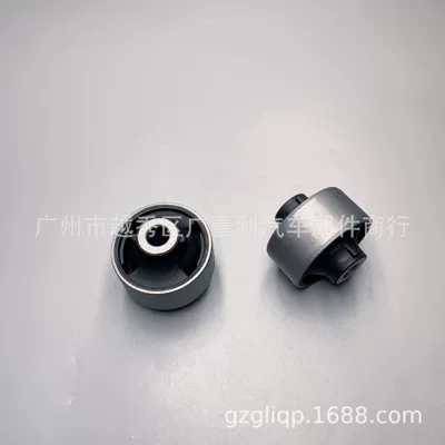 J10 T31 lower – Other walking systems