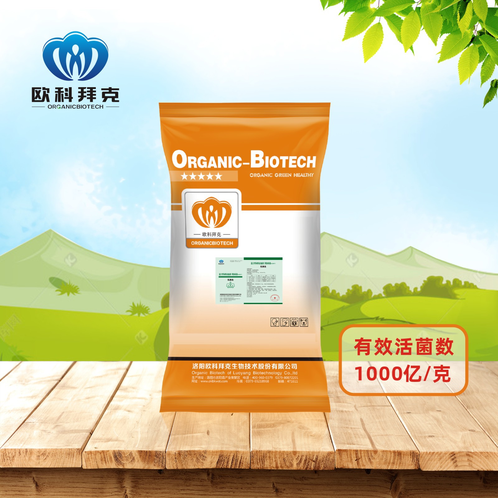 供应欧科拜克 粪肠球菌饲料级1000亿乳酸菌饲料添加剂益生菌原料