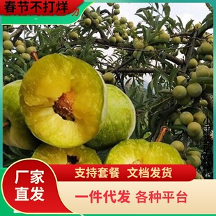 һ�����l�޽����Ә��m���A������Ó������t�����m�Ϸ������Nֲ