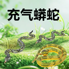 其他充气玩具;游泳圈;水上充气床