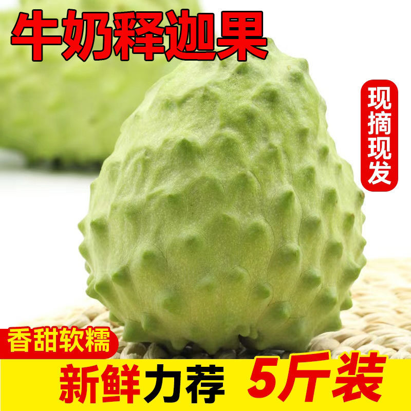 fresh milk Shakyako 5 Pineapple Shakya fruit Season Sweetsop Buddha head Nepalese fruit Taiwan 1