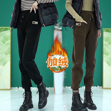 ɫӽqѝŮ2024ﶬ¿@ݸeѝѝɾoѝ