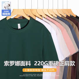 重磅推出凉感索罗娜t恤220g正肩圆领男女春夏纯色宽松休闲短袖