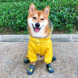 中型小型犬雨衣四腿全包泰迪狗雨披防水贵宾雪纳瑞柴犬狗雨天衣服