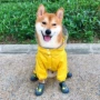 全包贵宾防水雨天雨衣